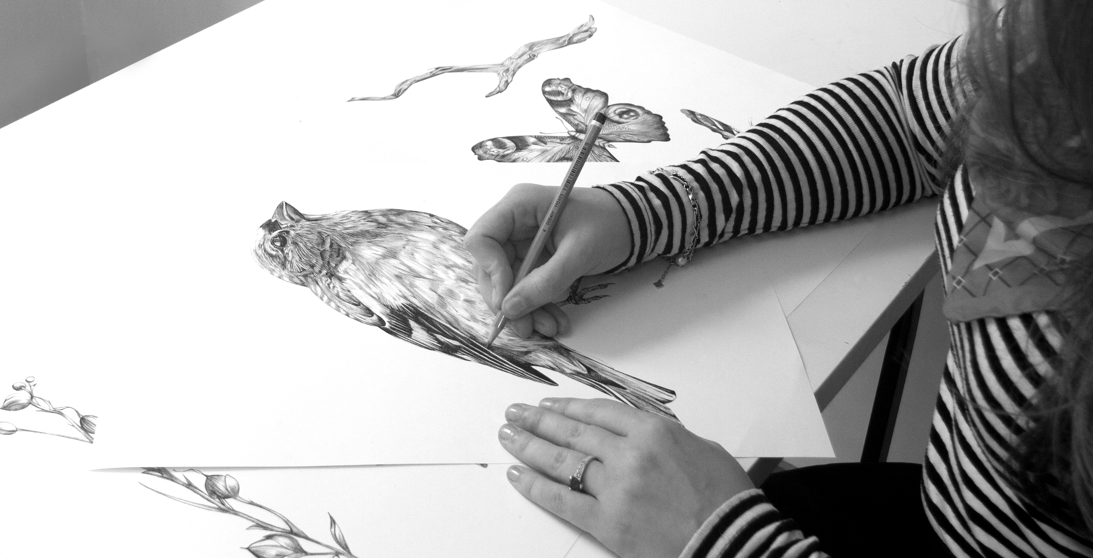 From Sketchbook to Silk